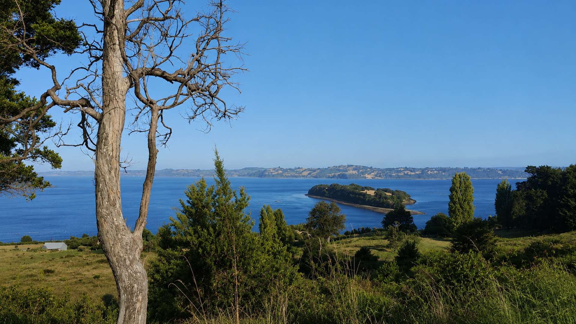 Vista panorámica Bahía Alta