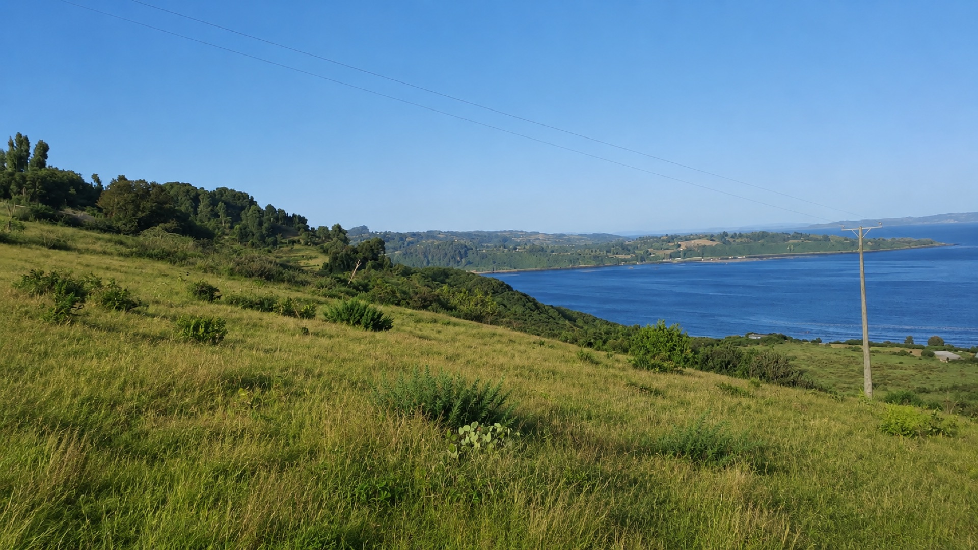 Pradera sobre la bahía